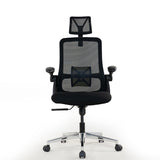 Realm of Thrones CAPTAIN Ergonomic Office Chair（Black）