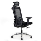 Realm of Thrones COMMODORE Ergonomic Mesh Office Chair with 4D Armrests（Black）