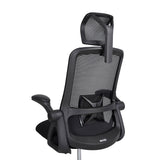 Realm of Thrones CAPTAIN Ergonomic Office Chair（Black）